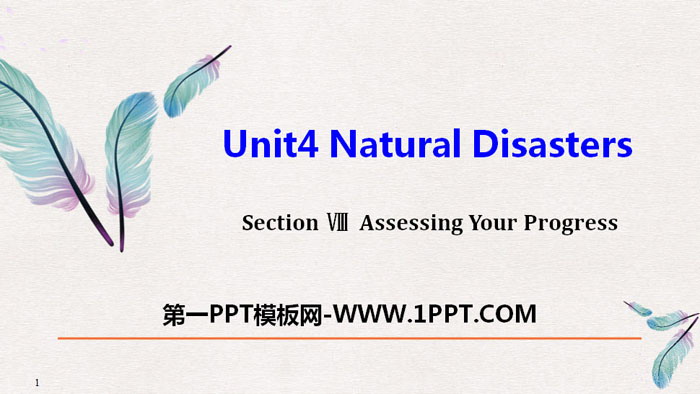 《Natural Disasters》Assessing Your Progress PPT