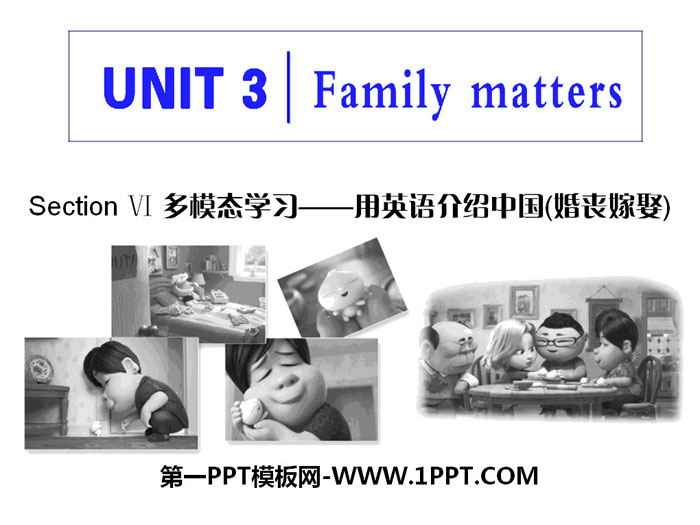 《Family matters》Section Ⅵ PPT课件