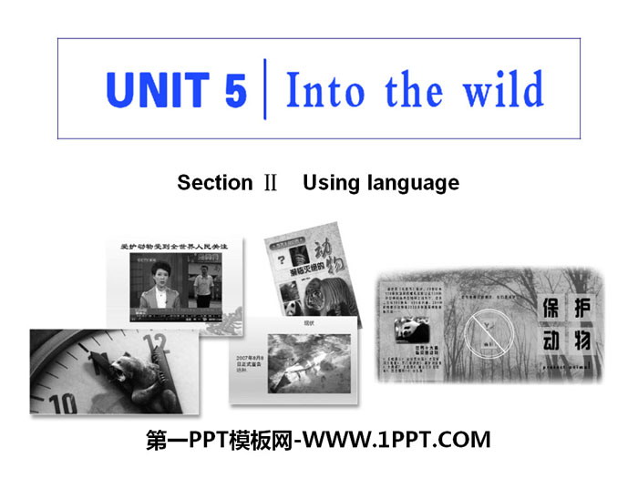 《Into the wild》Section ⅡPPT课件