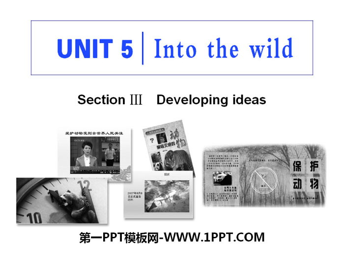 《Into the wild》Section ⅢPPT课件