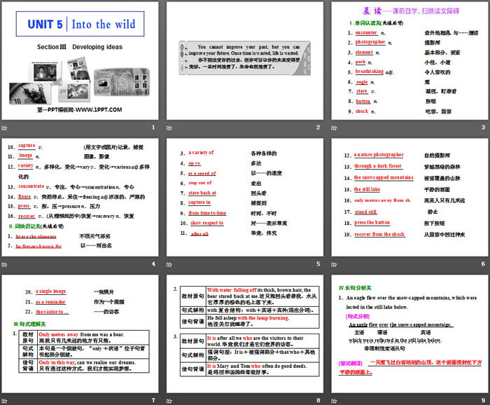 《Into the wild》Section ⅢPPT课件