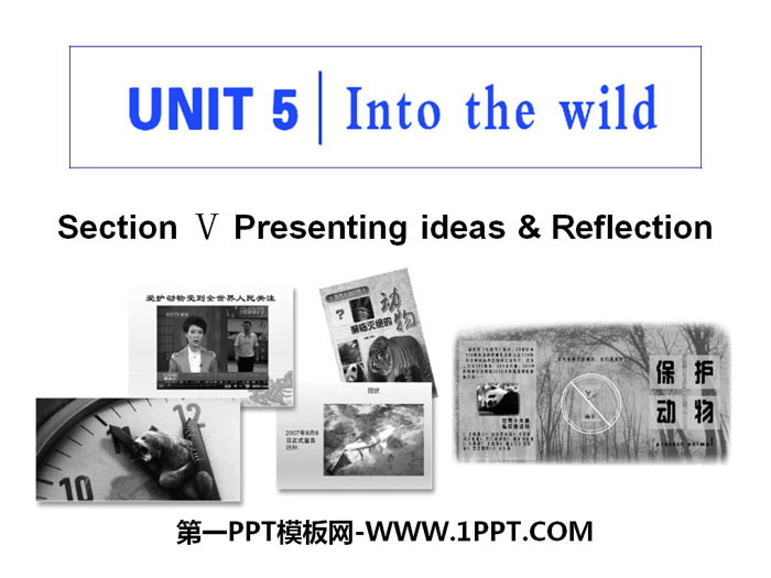 《Into the wild》Section V PPT课件