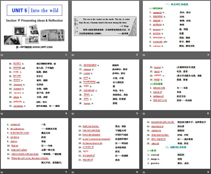 《Into the wild》Section V PPT课件