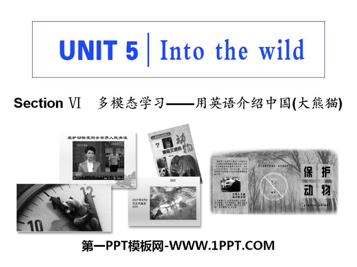 《Into the wild》Section Ⅵ PPT课件