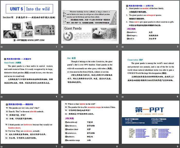 《Into the wild》Section Ⅵ PPT课件