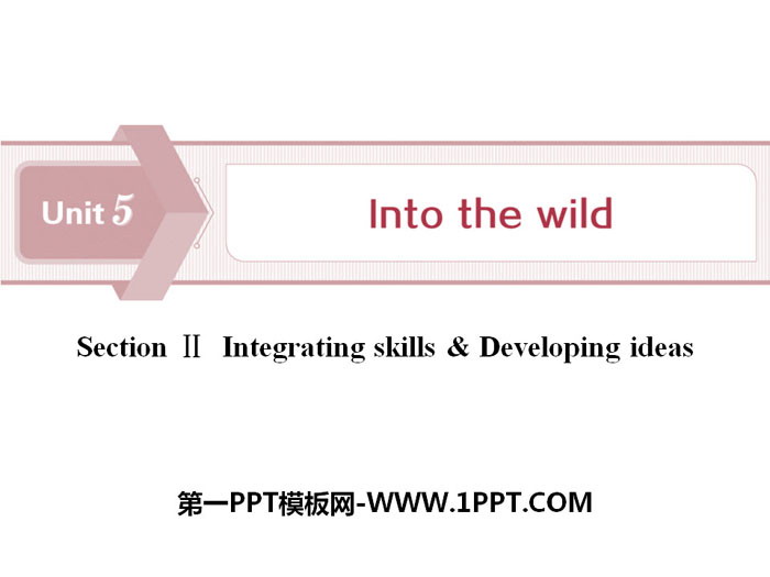 《Into the wild》Section ⅡPPT下载