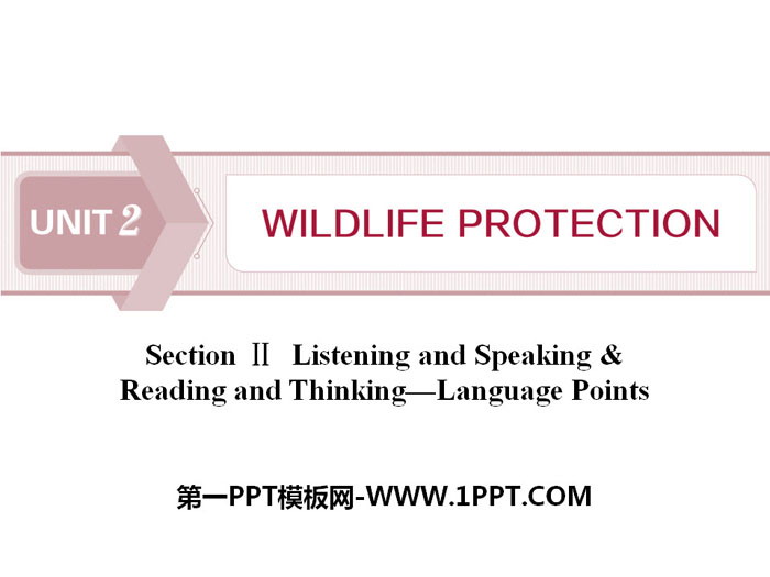 《Wildlife Protection》SectionⅡ PPT