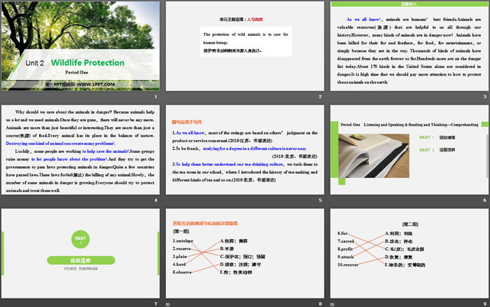 《Wildlife Protection》Period One PPT