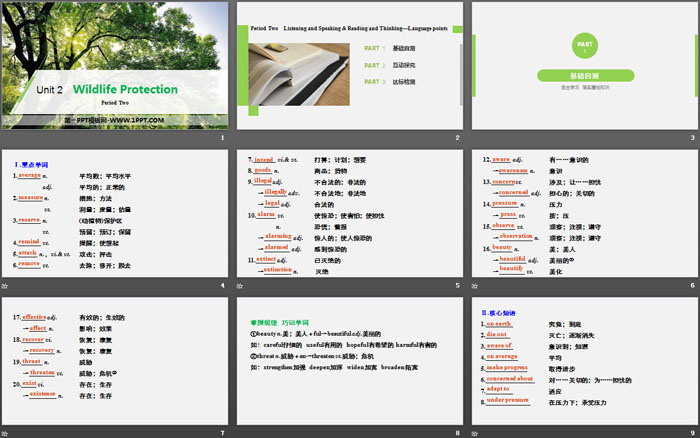 《Wildlife Protection》Period Two PPT