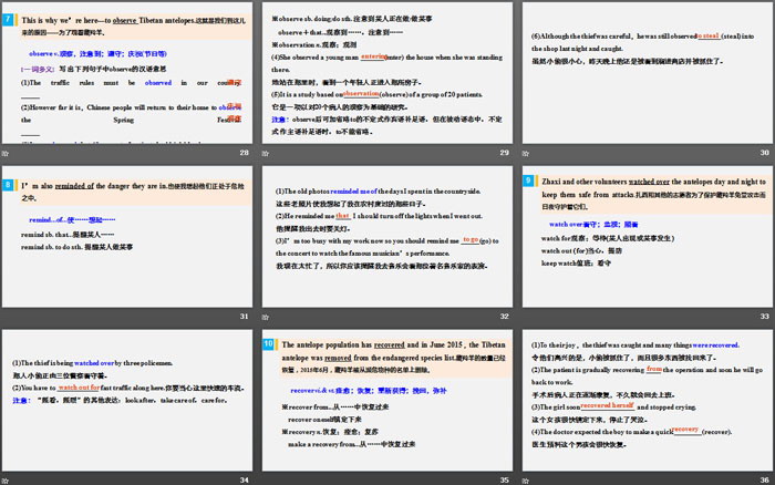 《Wildlife Protection》Period Two PPT