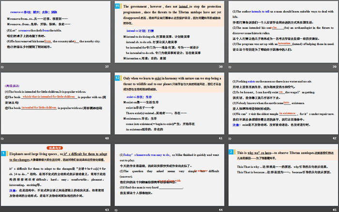 《Wildlife Protection》Period Two PPT