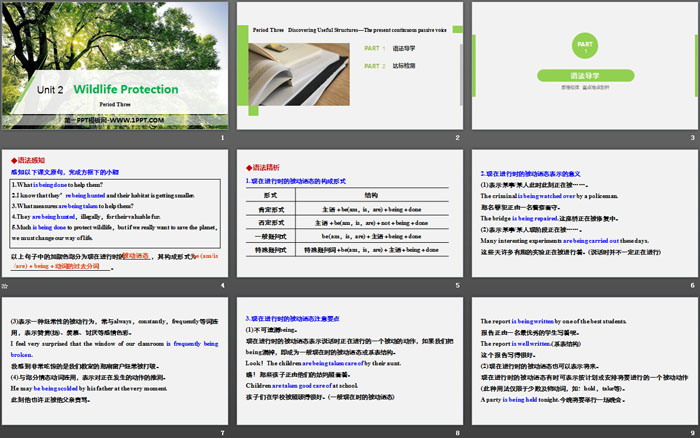 《Wildlife Protection》Period Three PPT