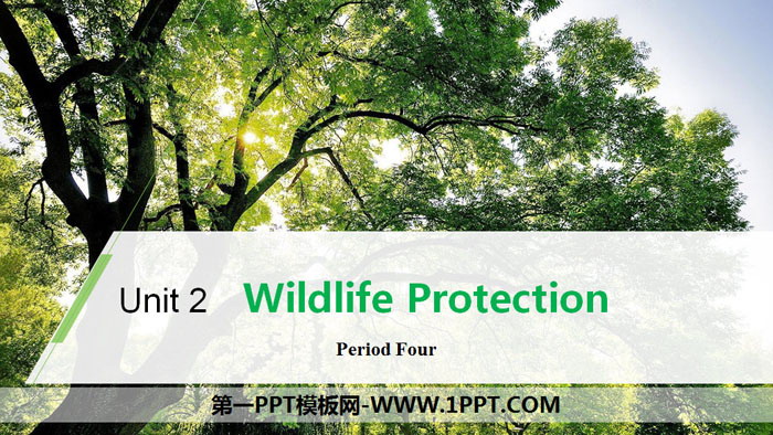 《Wildlife Protection》Period Four PPT