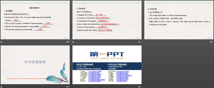 《Wildlife Protection》SectionⅡ PPT课件