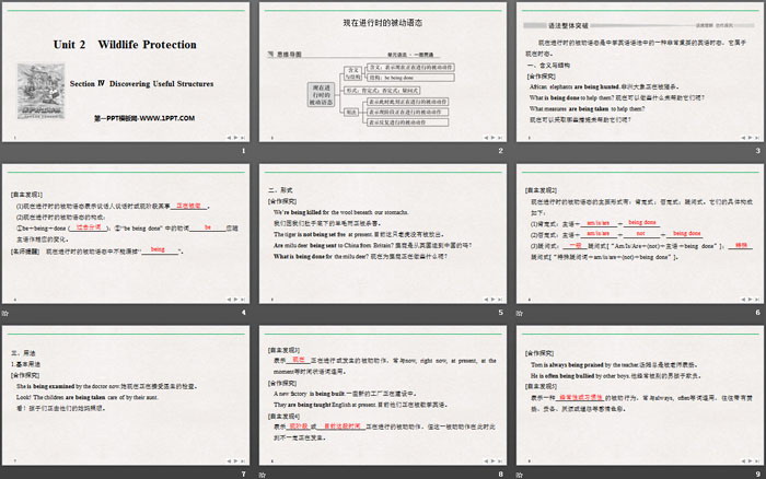 《Wildlife Protection》SectionⅣ PPT课件