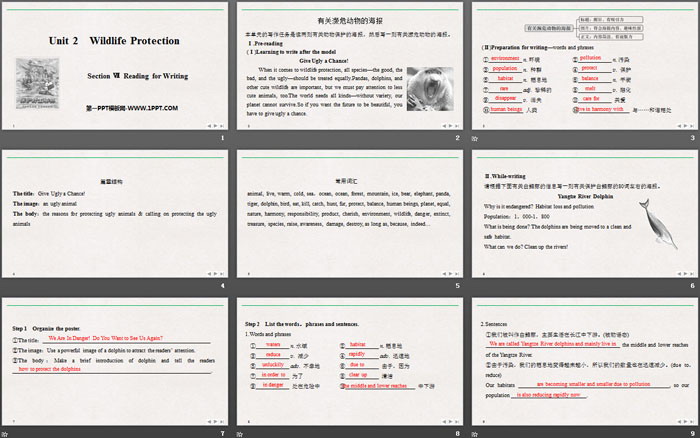 《Wildlife Protection》SectionⅦ PPT课件