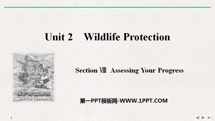 《Wildlife Protection》SectionⅧ PPT课件