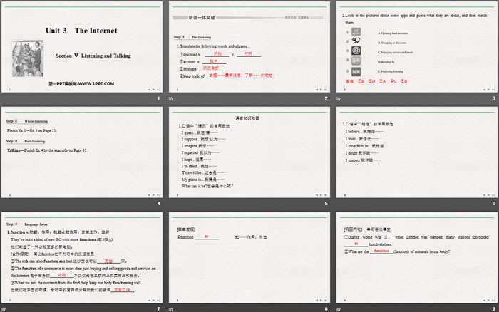 《The Internet》SectionⅤ PPT课件