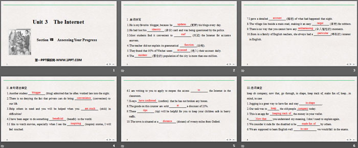 《The Internet》SectionⅧ PPT课件