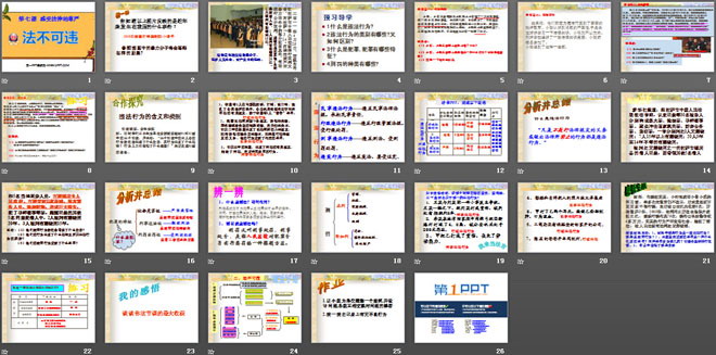 《法不可违》感受法律的尊严PPT课件6