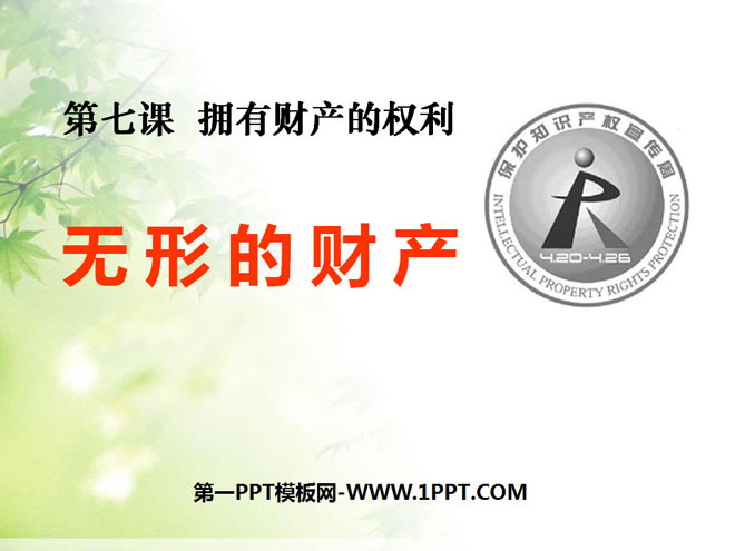 《无形的财产》拥有财产的权利PPT课件7