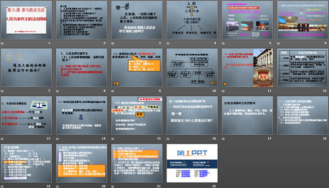 《人民当家做主的法治国家》参与政治生活PPT课件8