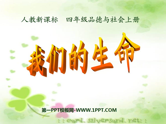 《我们的生命》珍爱生命PPT课件