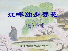 《江畔独步寻花》PPT课件3
