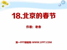 《北京的春节》PPT课件13