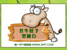 《在牛肚子里旅行》PPT课件2