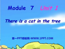 《There is a cat in the tree》PPT课件4