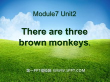 《There are three brown monkeys》PPT课件