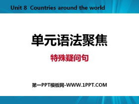 《单元语法聚焦》Countries around the World PPT