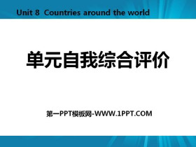 《单元自我综合评价》Countries around the World PPT
