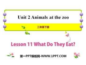 《What Do They Eat?》Animals at the zoo PPT