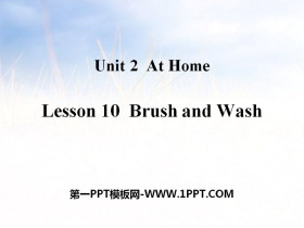 《Brush and Wash》At Home PPT课件下载