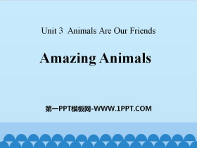 《Amazing Animals》Animals Are Our Friends PPT下载