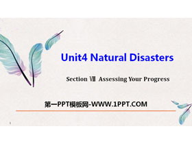 《Natural Disasters》Assessing Your Progress PPT