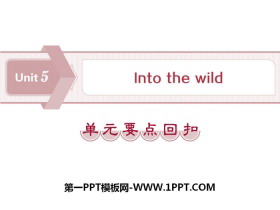 《Into the wild》单元要点回扣PPT