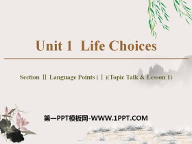 《Life Choices》Section ⅡPPT