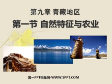 《自然特征与农业》青藏地区PPT课件2