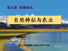 《自然特征与农业》青藏地区PPT课件3