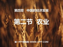 《农业》中国的经济发展PPT课件