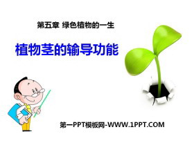 《植物茎的输导功能》PPT