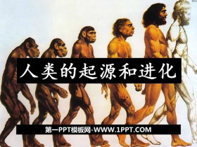 《人类的起源和进化》PPT教学课件