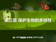 《保护生物的多样性》PPT课件2