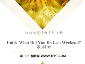 《What Did You Do Last Weekend?》PPT课件下载
