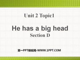 《He has a big head》SectionD PPT