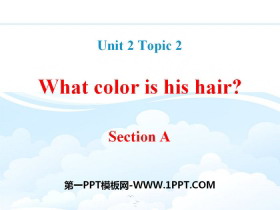 《What color is his hair?》SectionA PPT