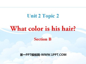 《What color is his hair?》SectionB PPT